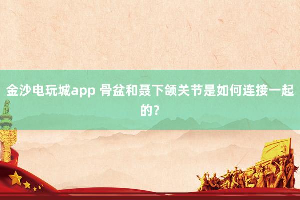 金沙電玩城app 骨盆和聶下頜關(guān)節(jié)是如何連接一起的?