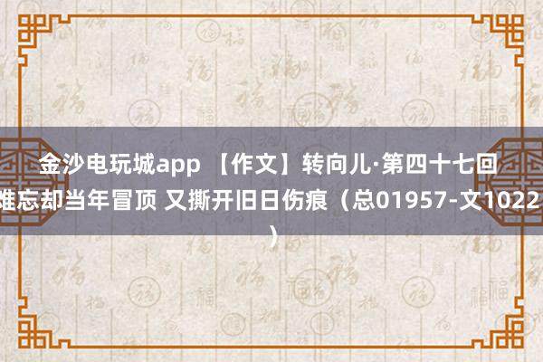 金沙電玩城app 【作文】轉向兒·第四十七回 難忘卻當年冒頂 又撕開舊日傷痕（總01957-文1022）