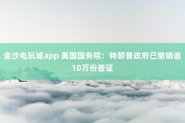 金沙電玩城app 美國國務(wù)院:特朗普政府已撤銷逾10萬份簽證