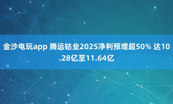 金沙電玩app 騰遠鈷業(yè)2025凈利預(yù)增超50% 達10.28億至11.64億