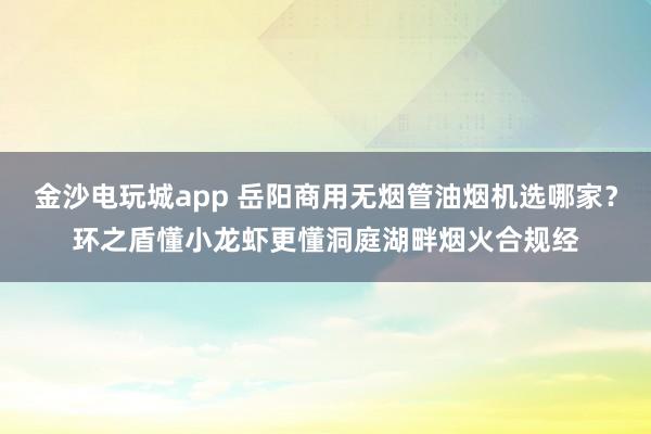 金沙電玩城app 岳陽商用無煙管油煙機選哪家？環之盾懂小龍蝦更懂洞庭湖畔煙火合規經