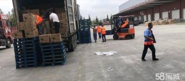 專業誠信搬家服務 廂貨、金杯、面包車齊全，人工打包搬運全程無憂